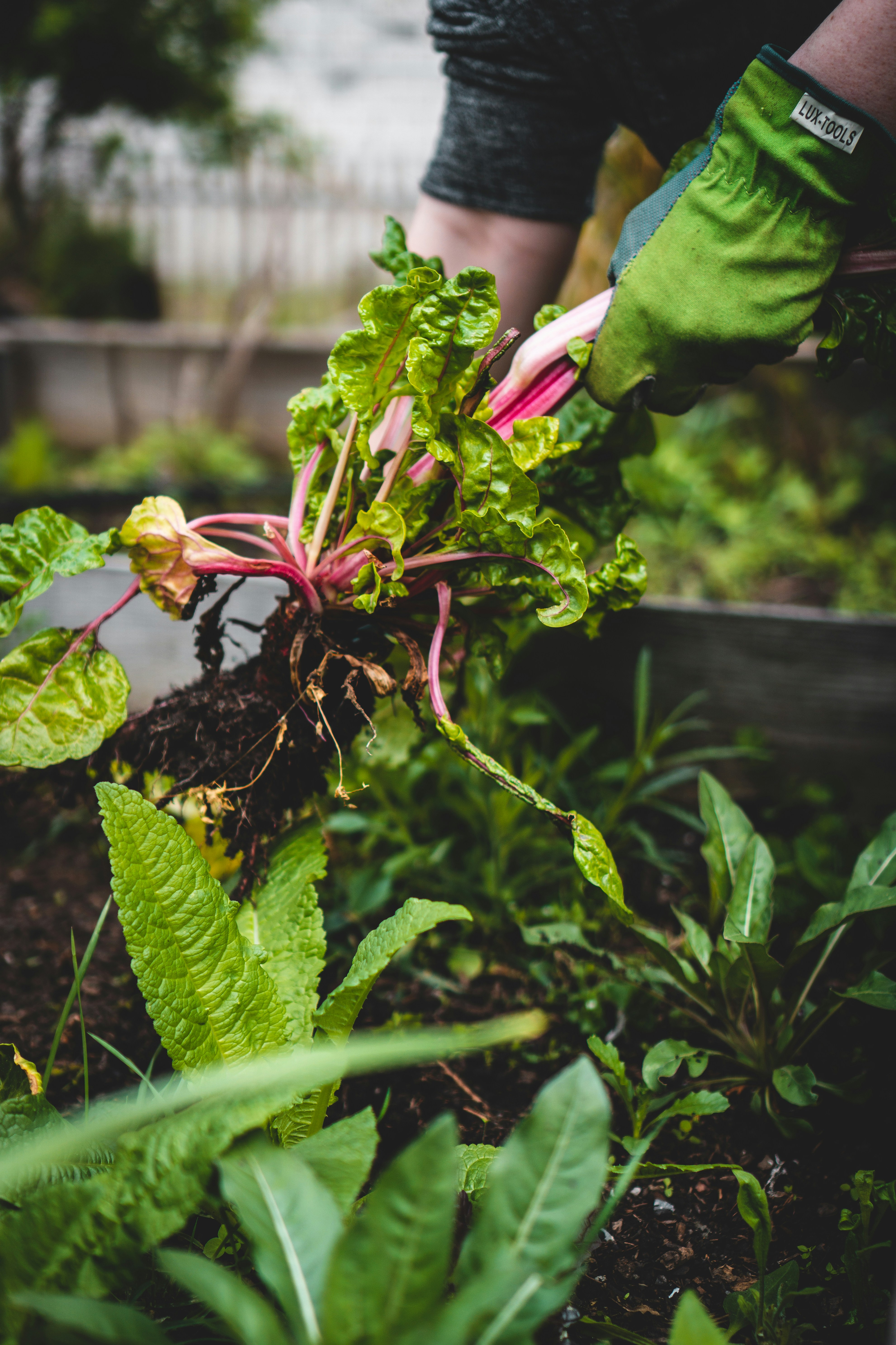 Understanding Your Carbon Footprint